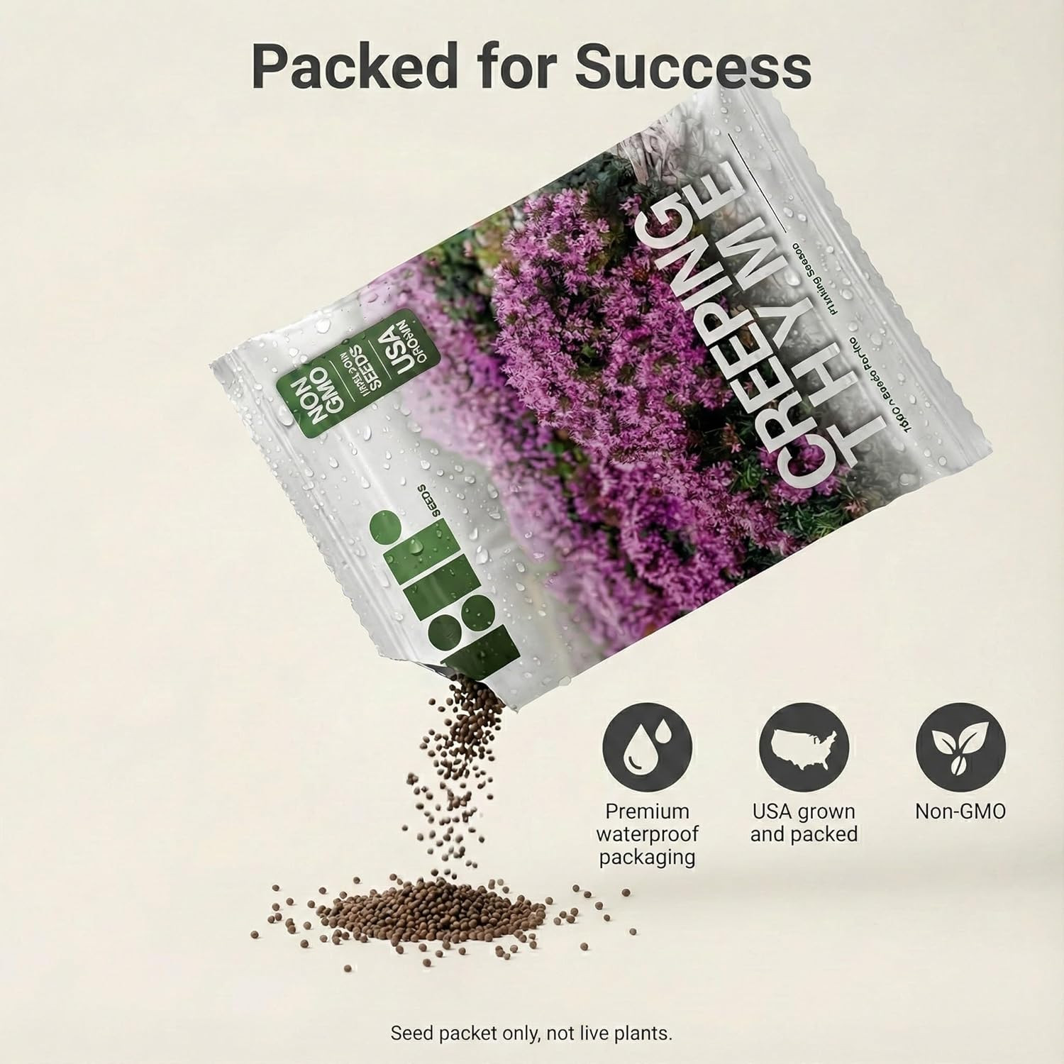 1,000 Creeping Thyme Seeds for Planting, Thymus Serpyllum – Heirloom, Non-Gmo, U