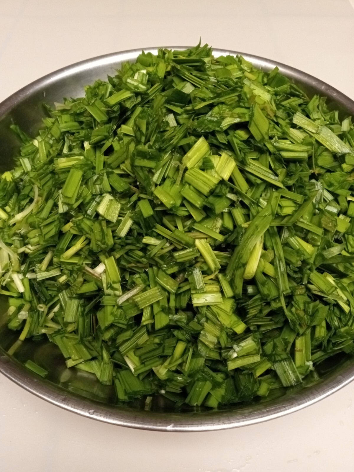 20 Garlic Chives 韭菜根 Live Organic Bare Root Hardy Perennial Herb – Ready to Grow