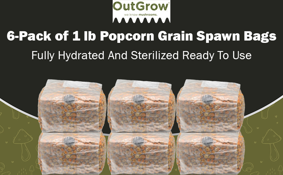 6-Pack Sterilized Popcorn Grain Spawn – 1 lb Bags with Injection Ports