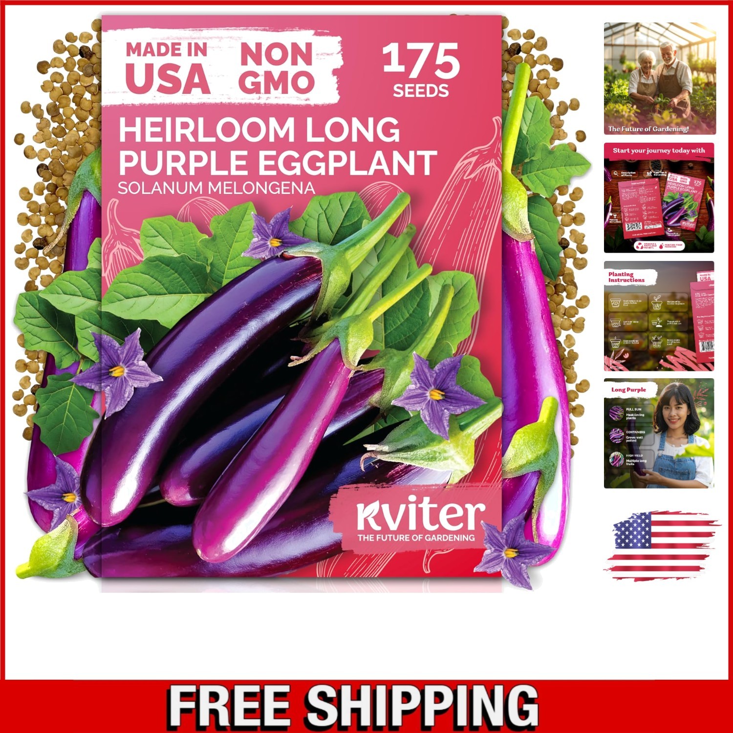 175 Long Purple Italian Eggplant Seeds – Ideal for Container Gardens & Beds