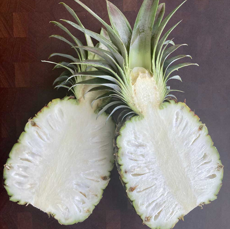 Live White Jade Pineapple Plant, Tropical Fruit Plant, 4–6″ Tall, Ships No Pot