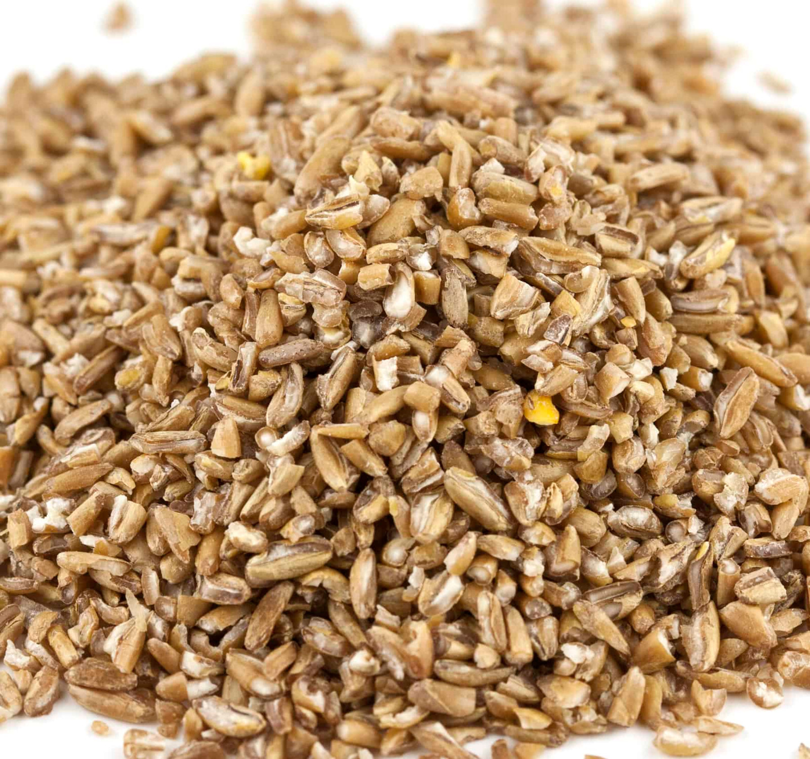 Bulghar Wheat Seeds (300) / ORGANIC / FLORIDA GROWN / HIGH FIBER