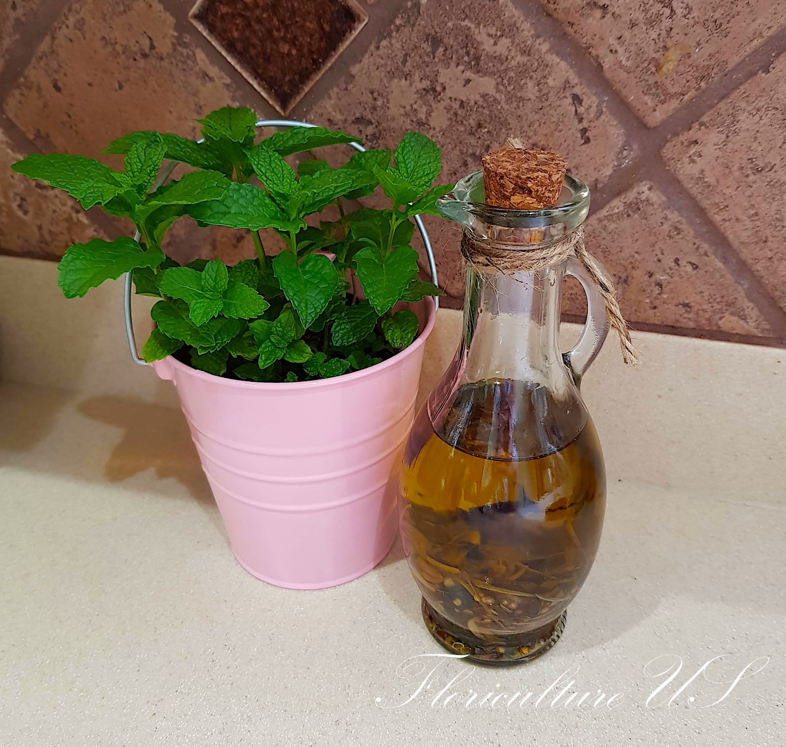 Mentha – Spearmint & Peppermint, Live Mint, Unrooted Cuttings, Herb