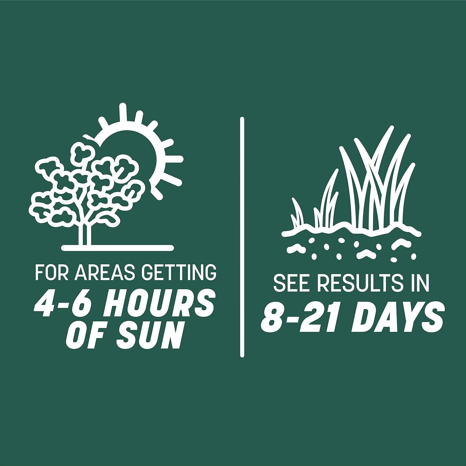7 lb Smart Seed Sun & Shade Mix – Perfect for Moderate Sunlight & Shade Areas