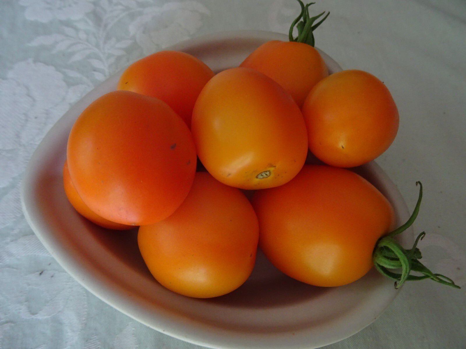 Extra Eros Zlatolaska Orange Heirloom Plum tomato 25seeds Organic from2024 RARE
