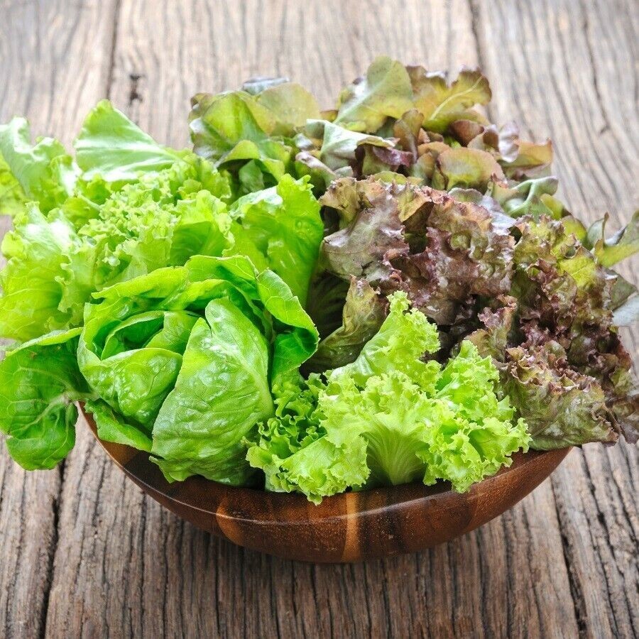 3 different salad kits you choose grow your own NON-GMO seeds VERY EASY HEALTHY!