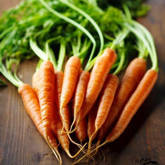 2,000 Imperator Carrot Seeds Vegetable Heirloom NON-GMO FREE SHIPPING