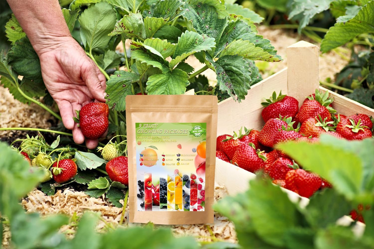 1200+ Mix Fruit Seeds Berry Seeds for Planting Heirloom Strawberry Raspberry