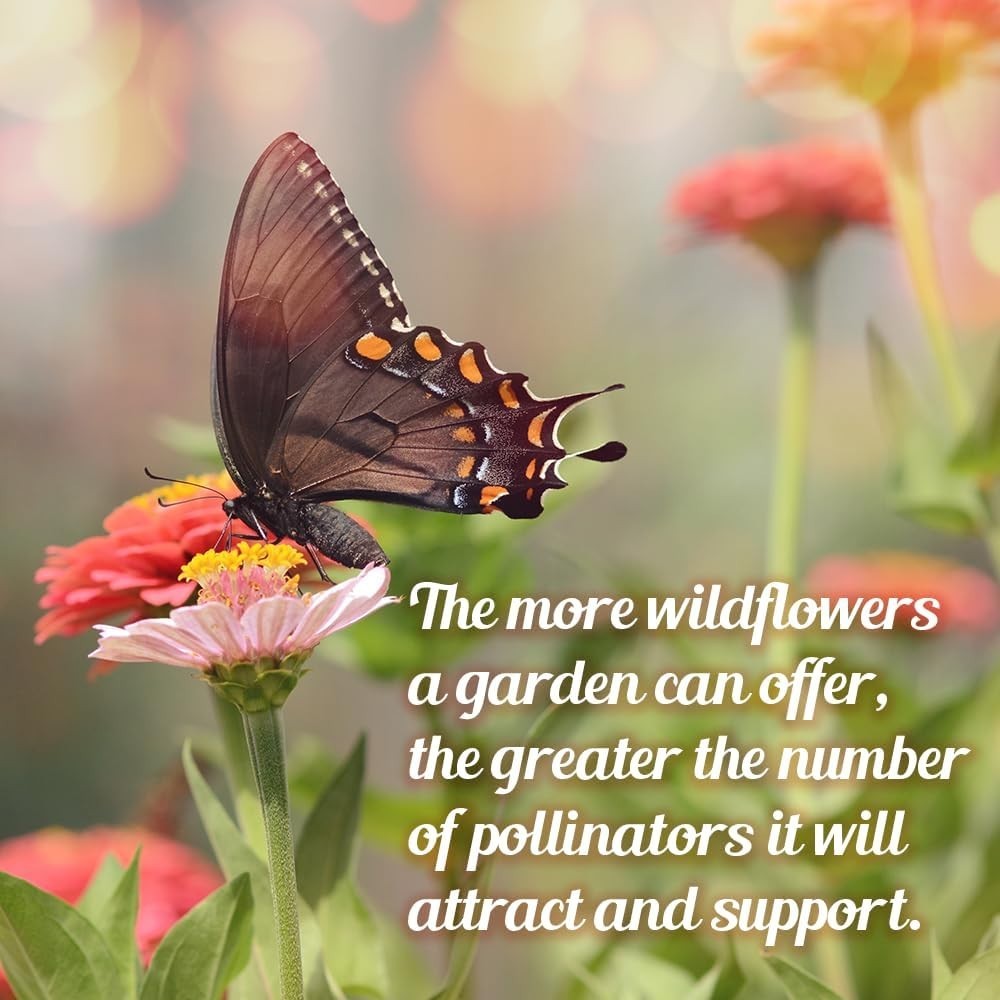 1oz Wildflower Seed Packet for Monarch Butterflies – Gift for Gardeners