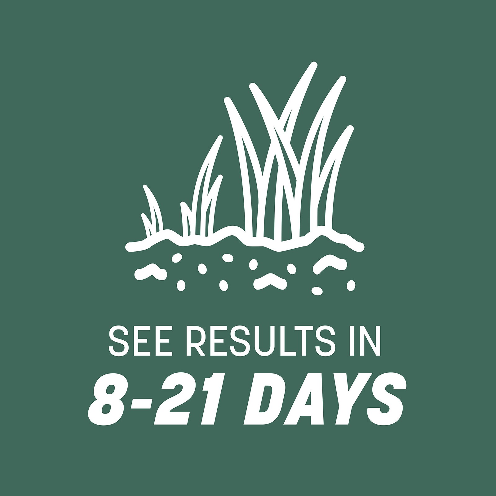Pennington Kentucky 31 Tall Fescue Penkoted Grass 3 LB (Pack of 2), Green