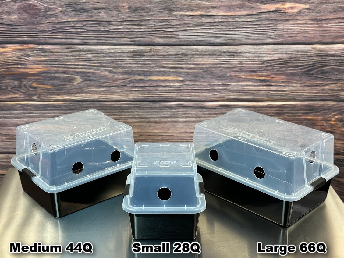 Grower’s Select 48Q Mushroom Monotub Fruiting Chamber w/ Filter Disks and Liner
