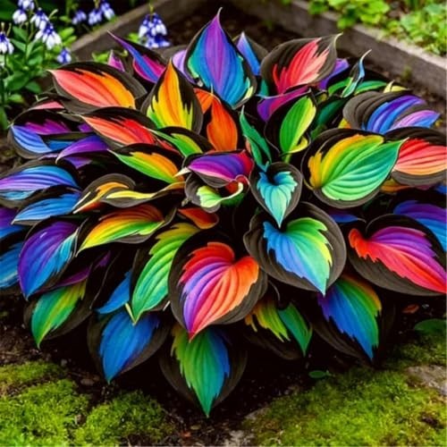 290+ Perennial Hostas for Planting, Low Maintenance Rich Foliage, Heart Hosta