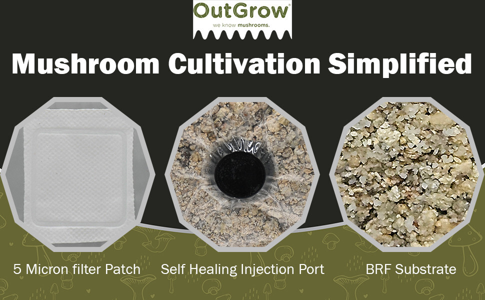 BRF BAGS Brown Rice Flour Mushroom Substrate Grow Bags / Sale is for 12 bags