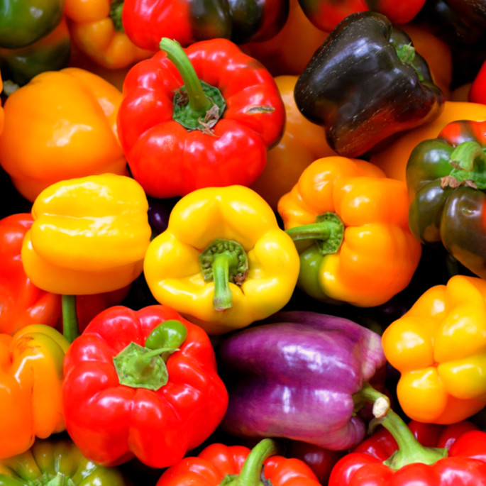 Rainbow Mix Sweet Bell Pepper Seeds | Colors Blend Heirloom Vegetable Seed 2025