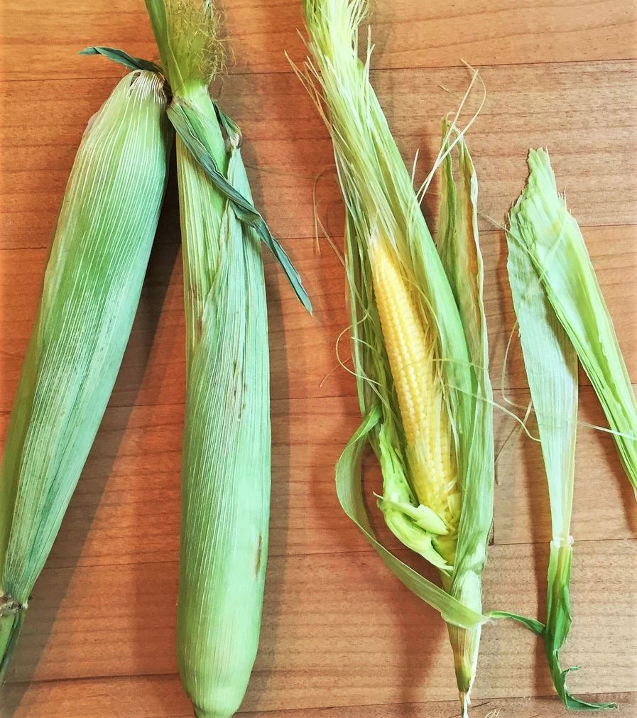 Baby Corn Seeds | Completely Edible White Asian Japanese Hulless Corn Seeds 2024