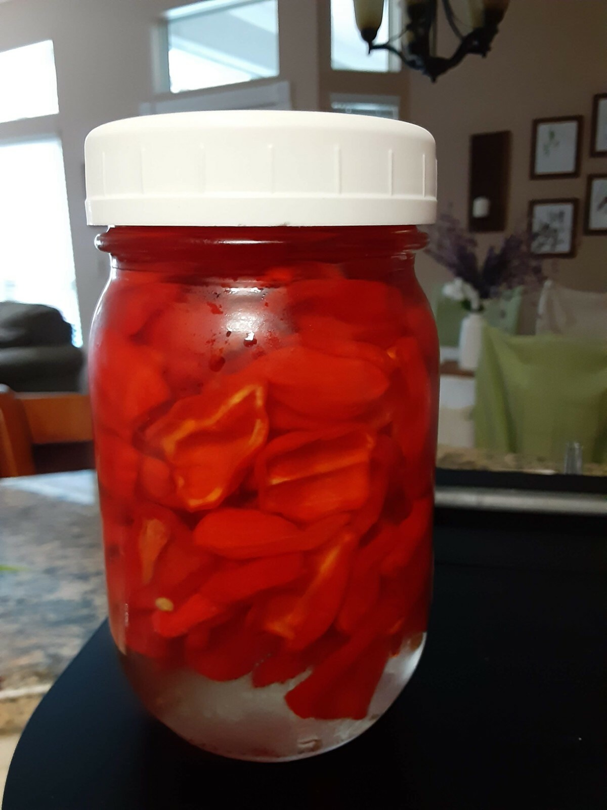 30+ Datil Sweet Pepper Seeds – Florida Grown
