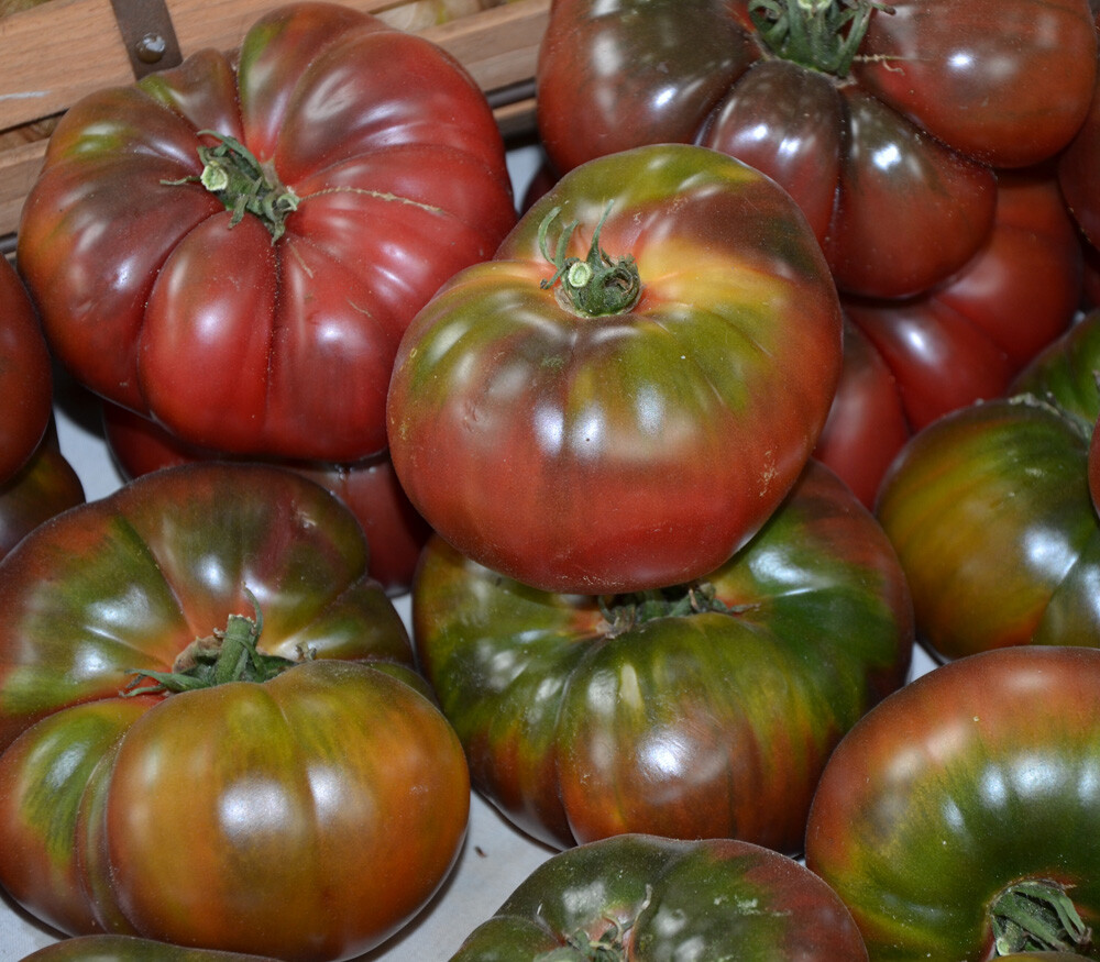 Black Krim Tomato Seeds 50 Ct Vegetable Garden HEIRLOOM NON-GMO FREE SHIPPING