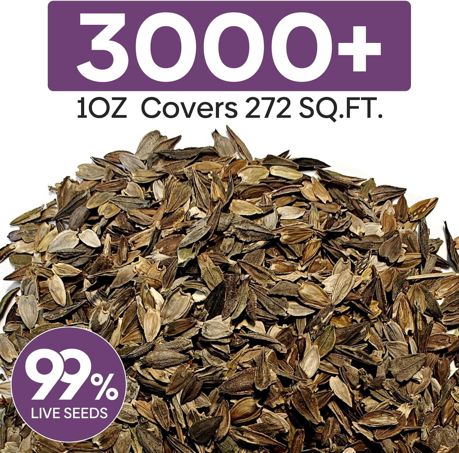 Beautiful Zinnia Seeds Mix – Over 3,000 Seeds in Pink, Yellow, Orange & More