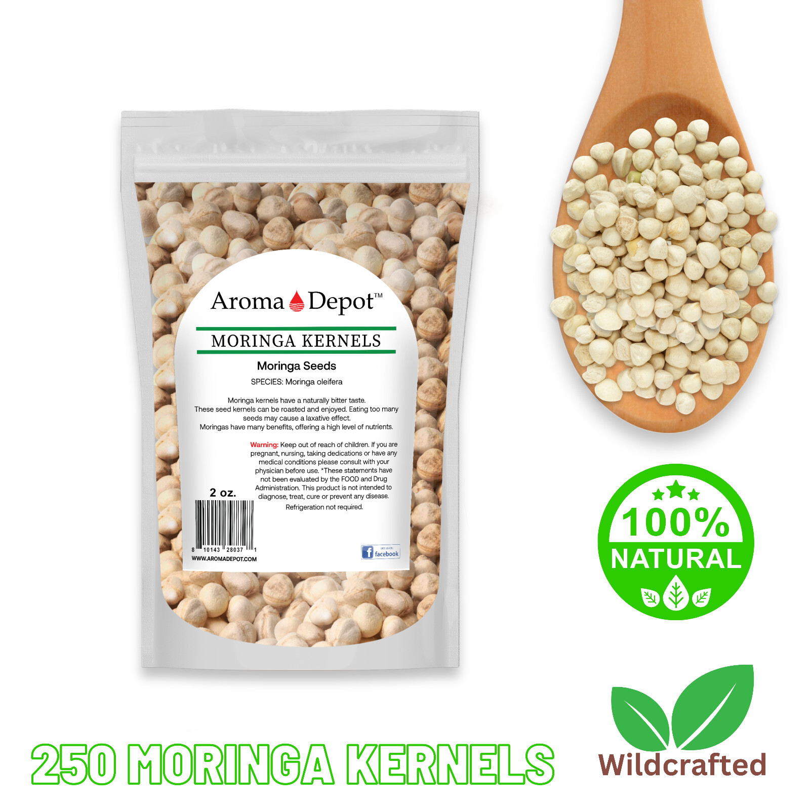 Moringa KERNELS 2 oz. Seeds oleifera Shelled 250 Semilla De Moringa Wholesale