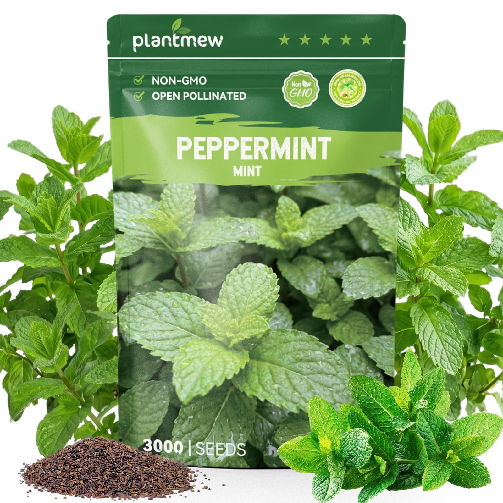 3000 Peppermint Seeds Planting Indoor Outdoor Heirloom Non GMO Herb Garden