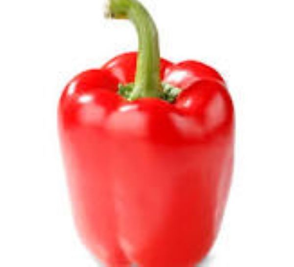 50 + Big Organic RED ORANGE YELLOW GREEN* Bell SWEET Pepper Seeds MIXTURE