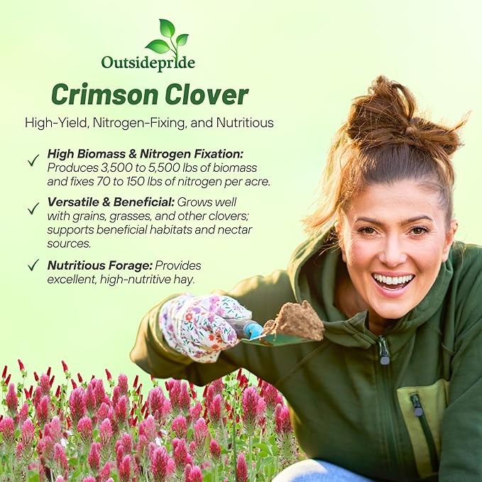 40 LBS – Inoculated Bulk Crimson Clover Seed For Planting Pastures, Cover