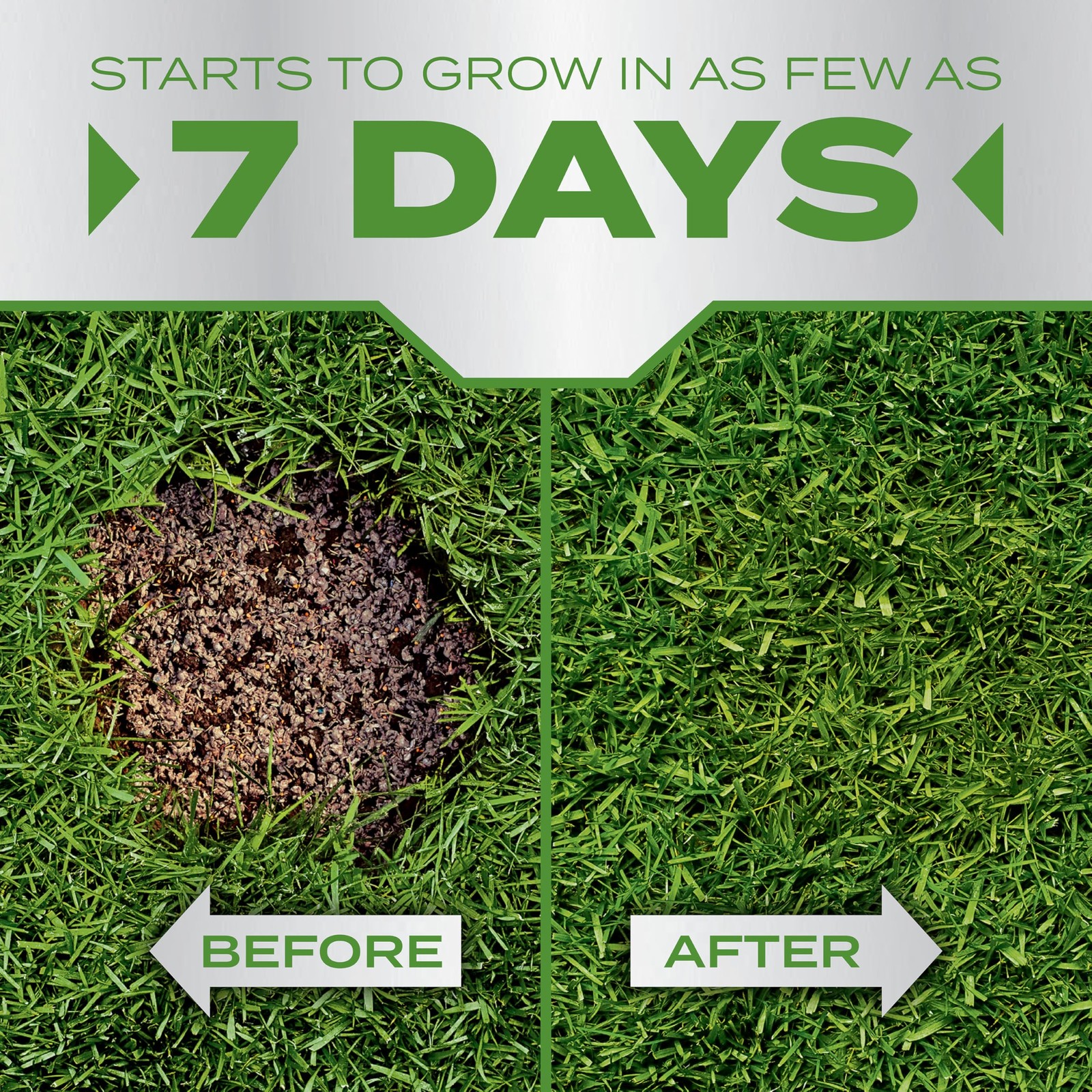 Scotts Patchmaster Lawn Repair Mix Tall Fescue Mix – Combination Grass Seed