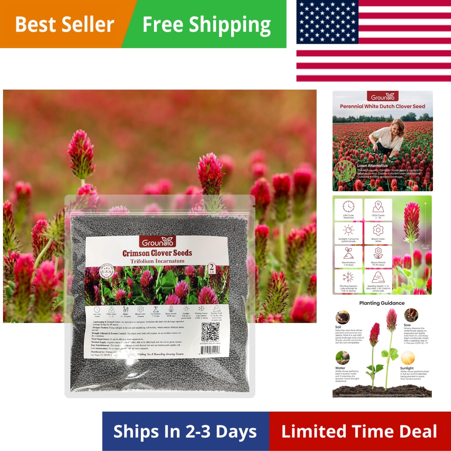 Annual Crimson Clover Seeds, 2 lbs, Trifolium Incarnatum Seeds for Lawn, Attr…