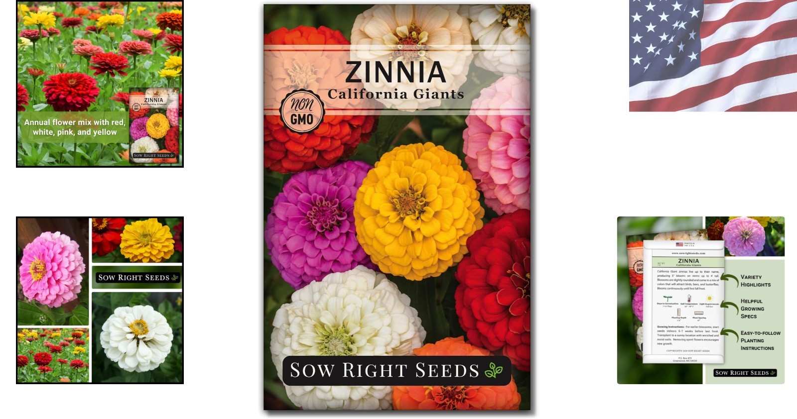 Pollinator-Friendly California Zinnia Seeds – Mixed Colors for Beautiful Blooms