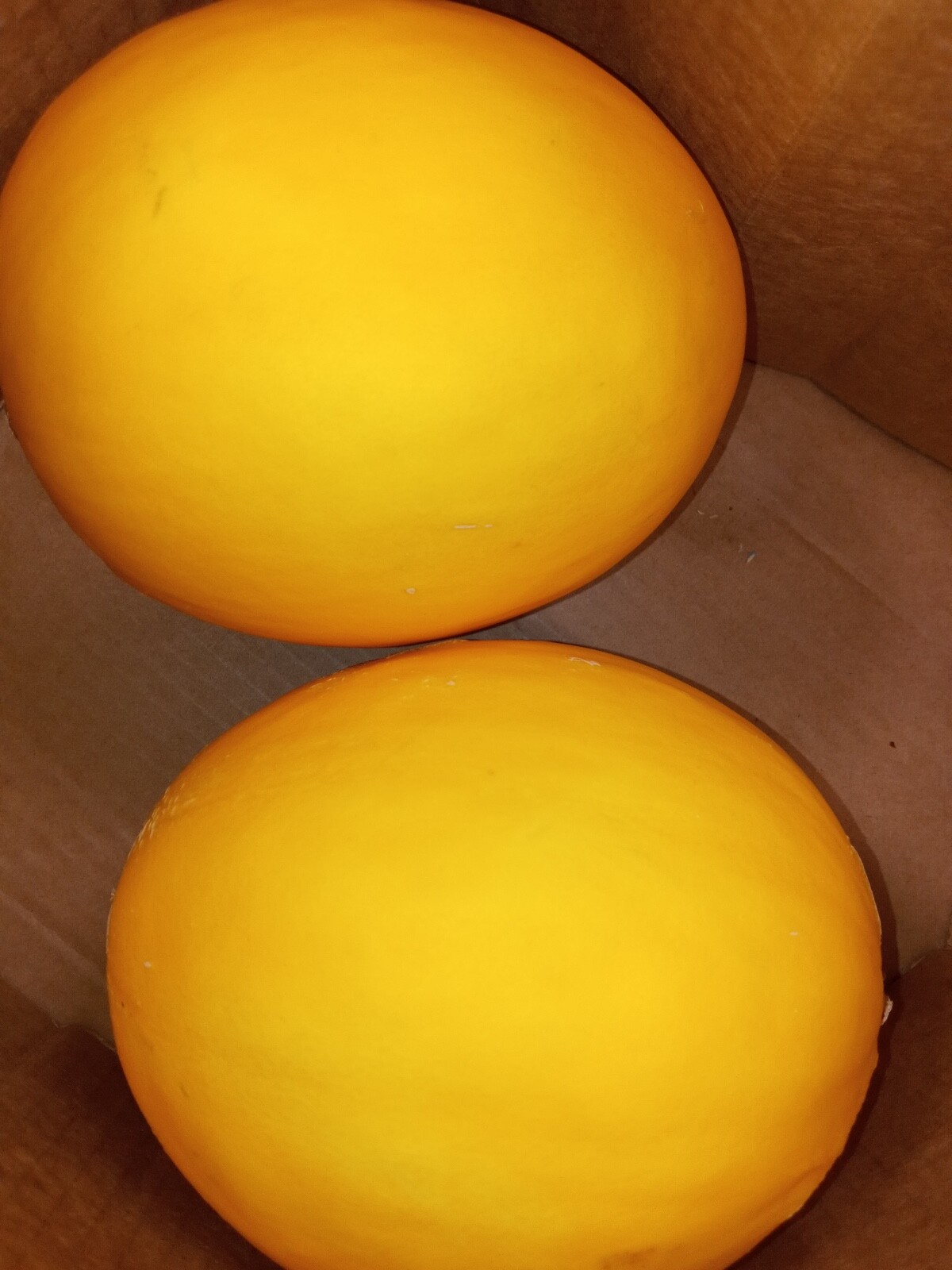 50+ Organic Golden Honeydew Melon Seeds | Super Sweet | Fresh Garden 2024