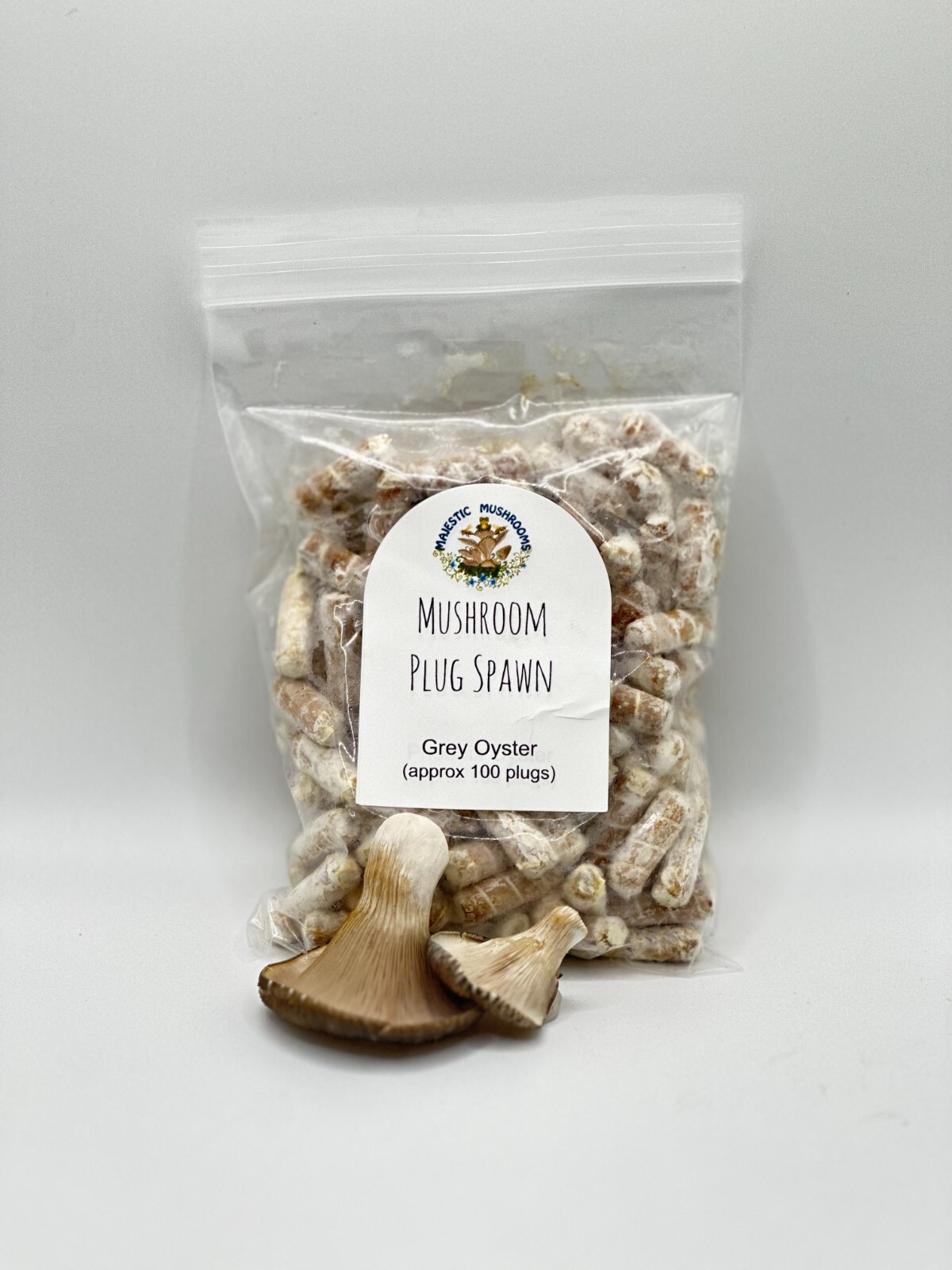 Grey Oyster Mushroom Plug Spawn 100X -FREE USA shipping