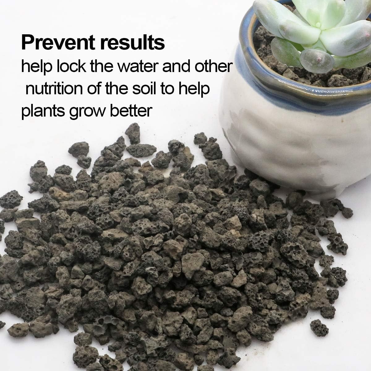 6lb Black Lava Rock for Plants, Natural Horticultural Volcanic Grit, Cactus S…