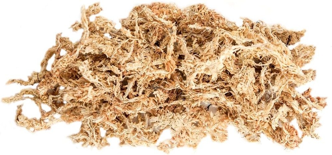 Long-Lasting Orchid and Succulent Sphagnum Moss – Essential Plant Care Solution