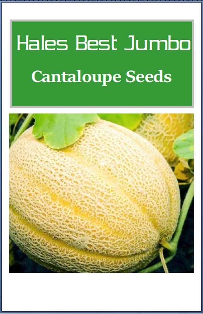Hales Best Jumbo Cantaloupe Seeds | NON-GMO | Heirloom | Fresh Garden Seeds