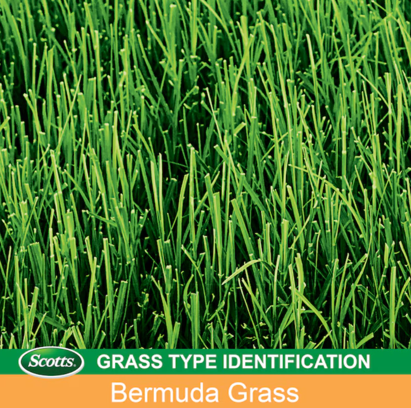 Scotts EZ Seed Patch & Repair Bermuda Grass 20 lbs. Covers up to 445 sq. ft.