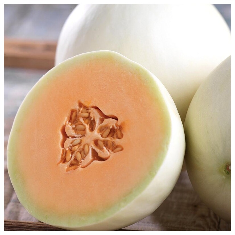 Honey Dew Orange Flesh Cantaloupe Seeds 50+ Muskmelon Fruit USA FREE SHIPPING