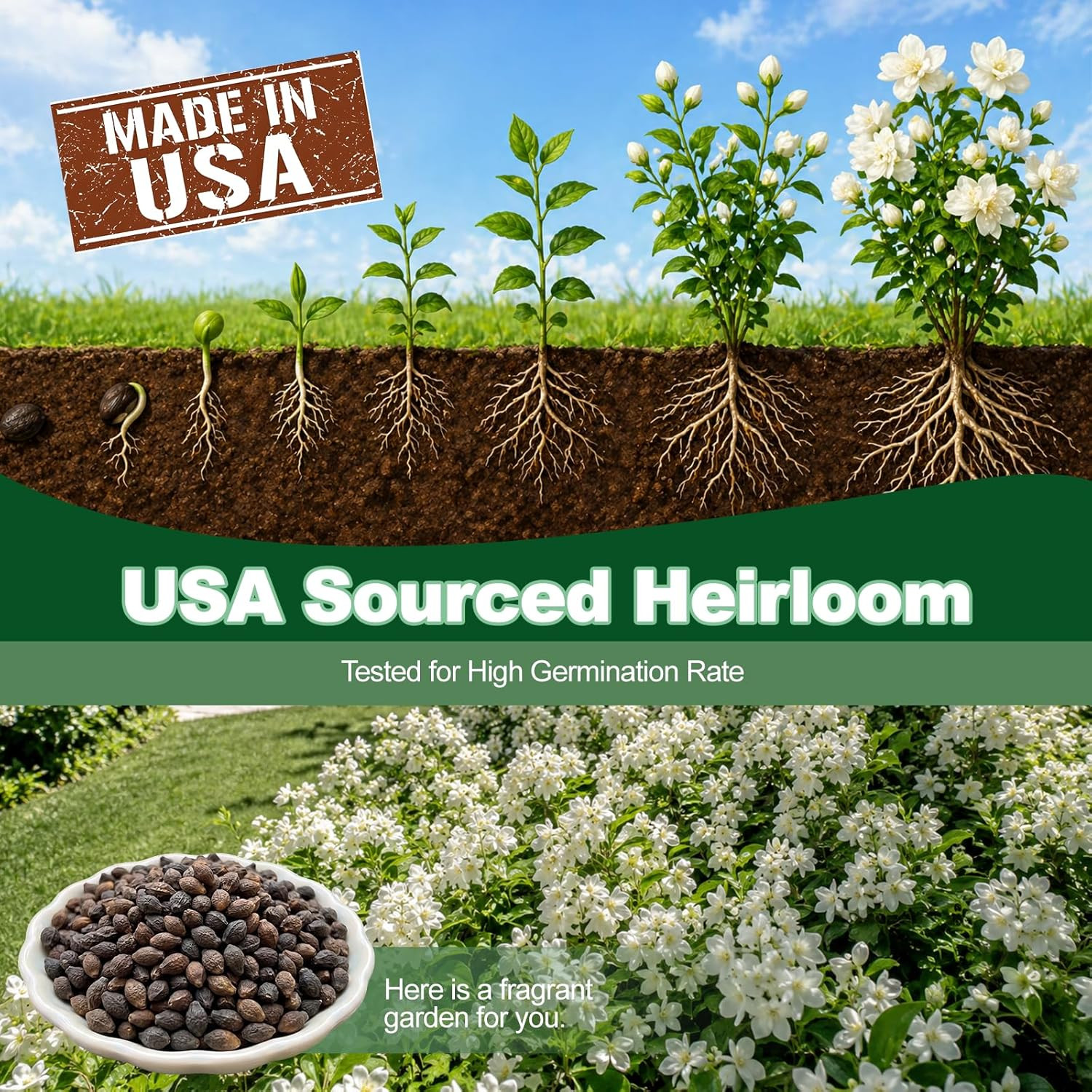 100+ Climbing Jasmine Flower Seeds Fragrant Plant for Planting Garden Home Four
