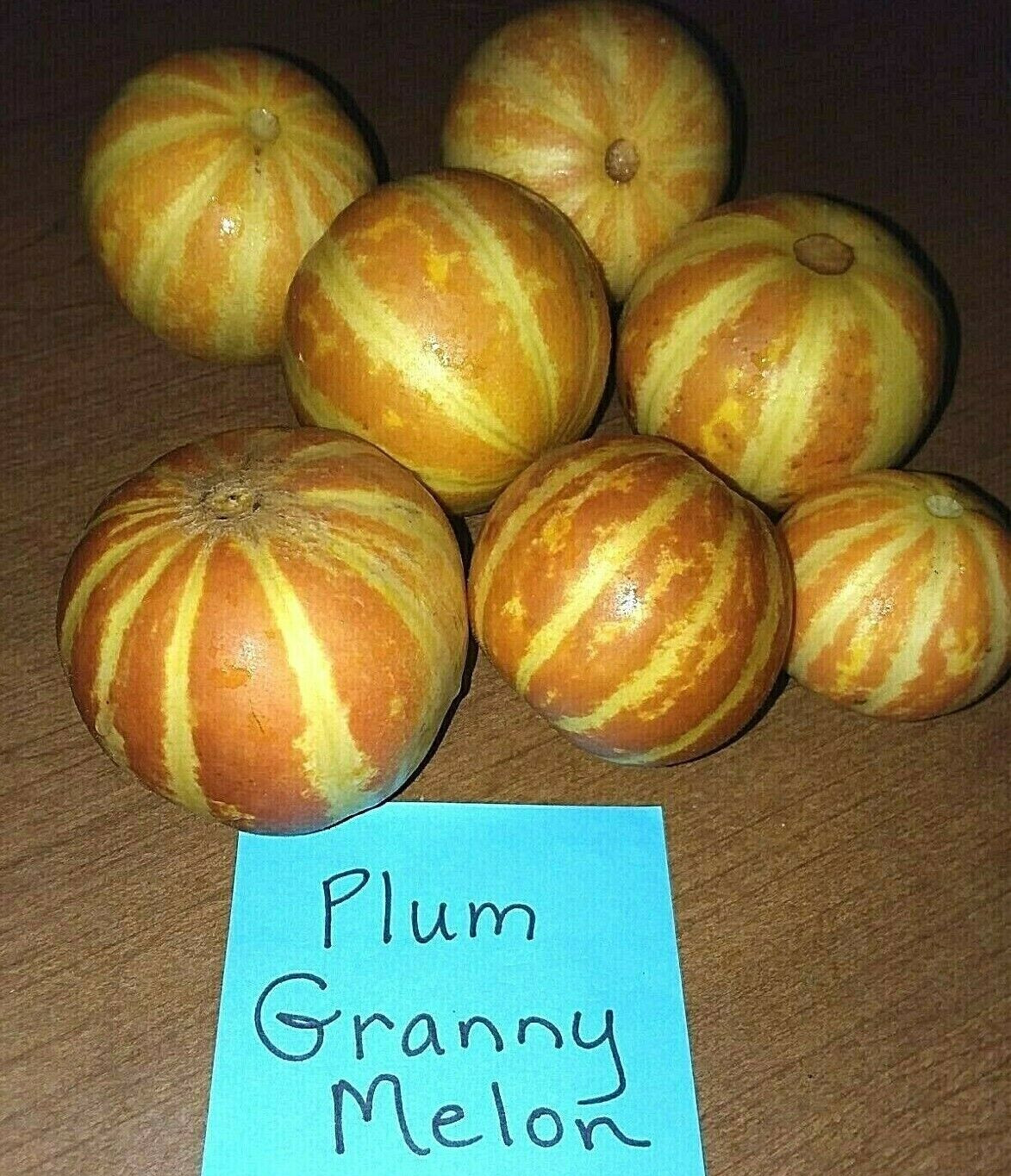 Plum Granny Melon Seeds – Mini Melon’s – 15 Seeds – Loads of fruit – Comb. S/H