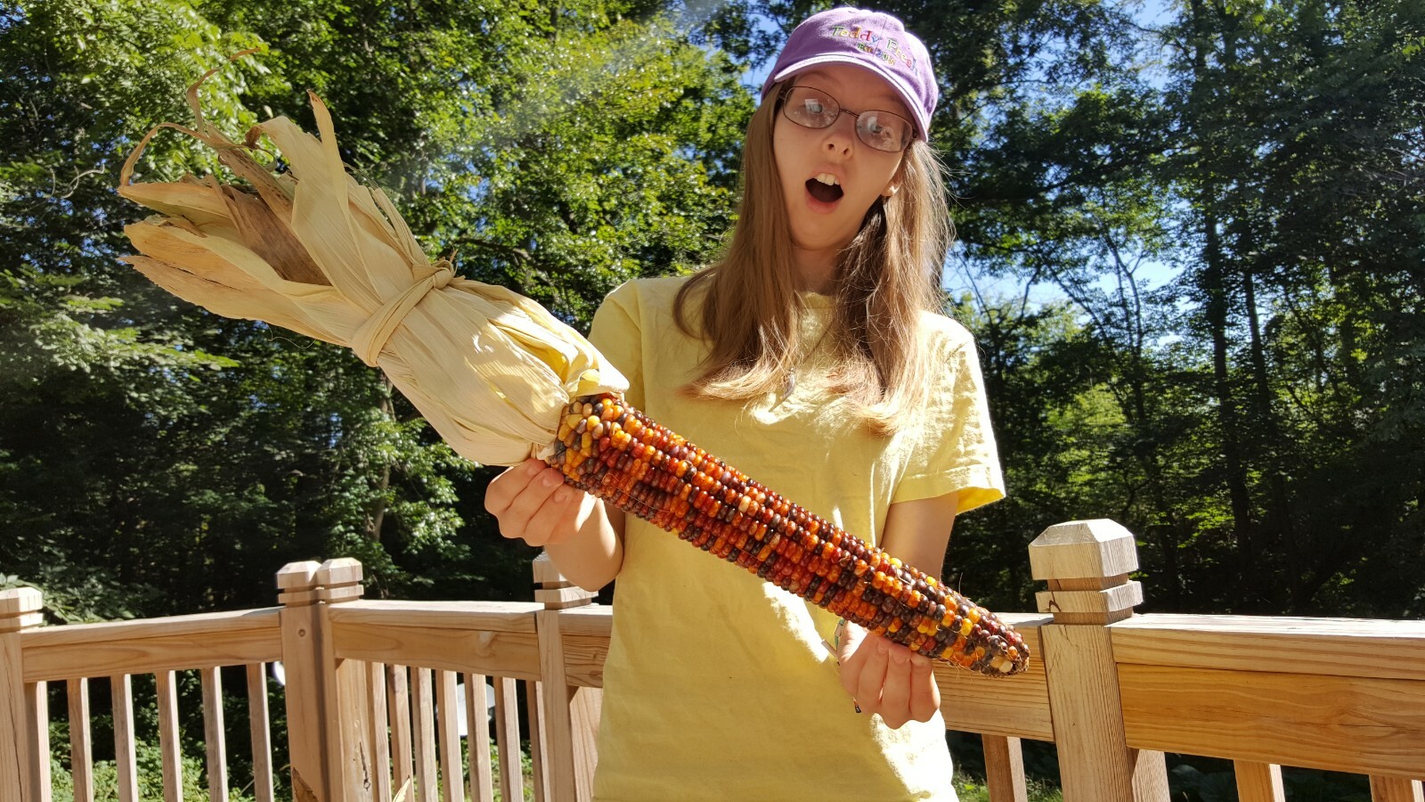 Rare Giant Indian Corn Seeds X50!Colorful Massive Ears,Ornamental!Easy To Grow!