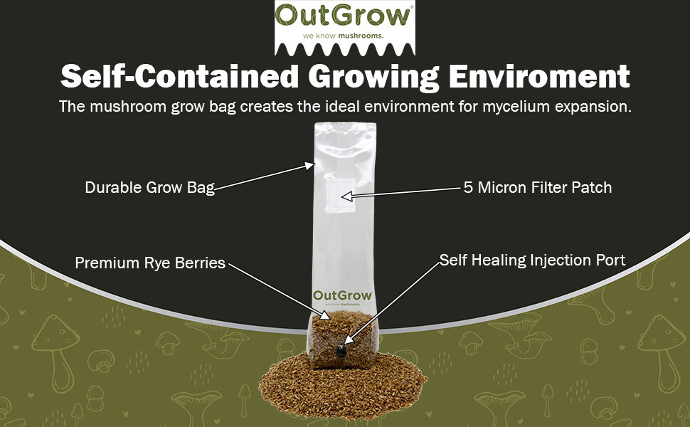 Sterilized Rye Berry Mushroom Substrate With Self Healing Injection Port
