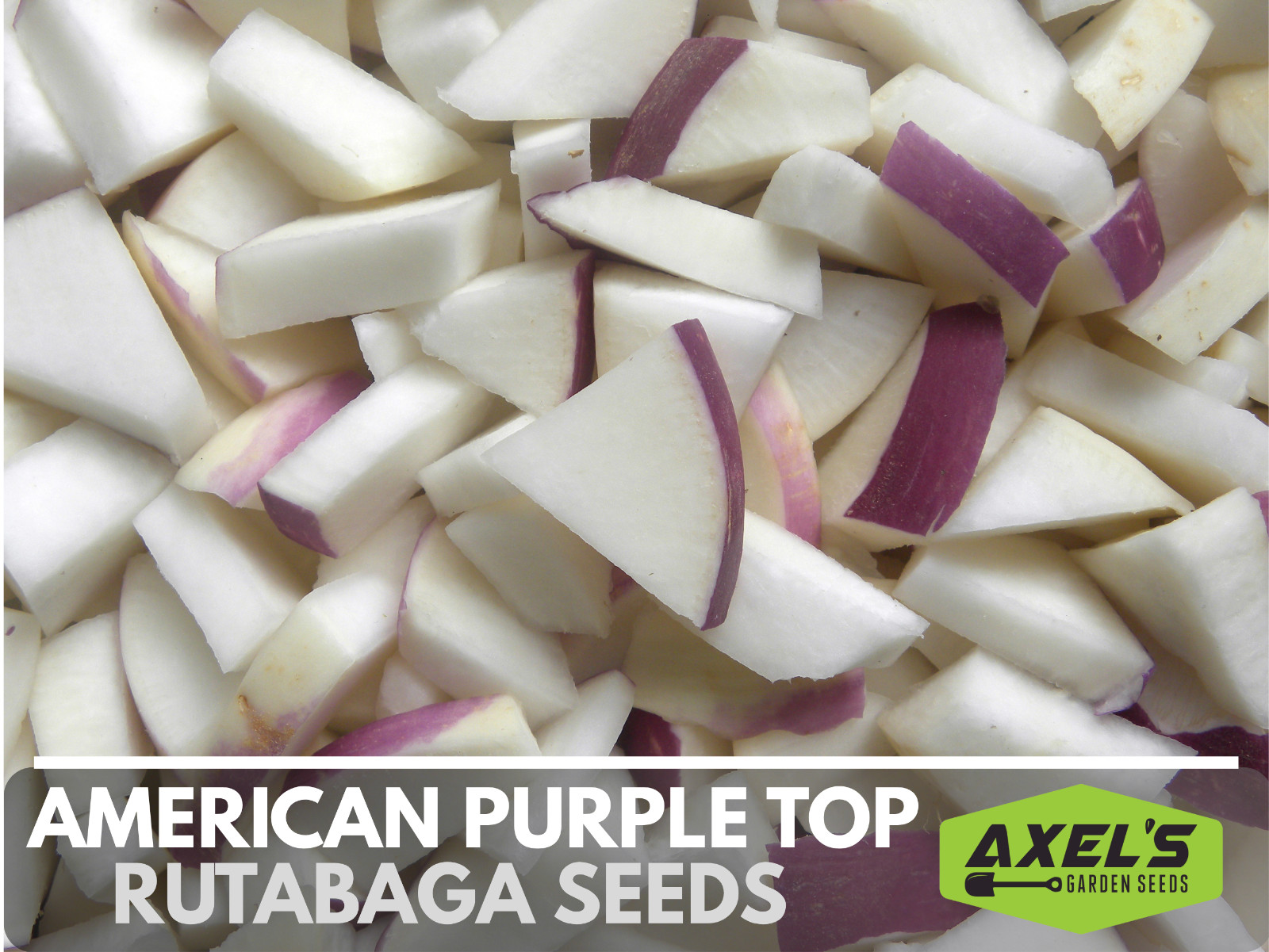 Purple Top Rutabaga Seeds | Non-GMO | Heirloom | Fresh Garden Seeds