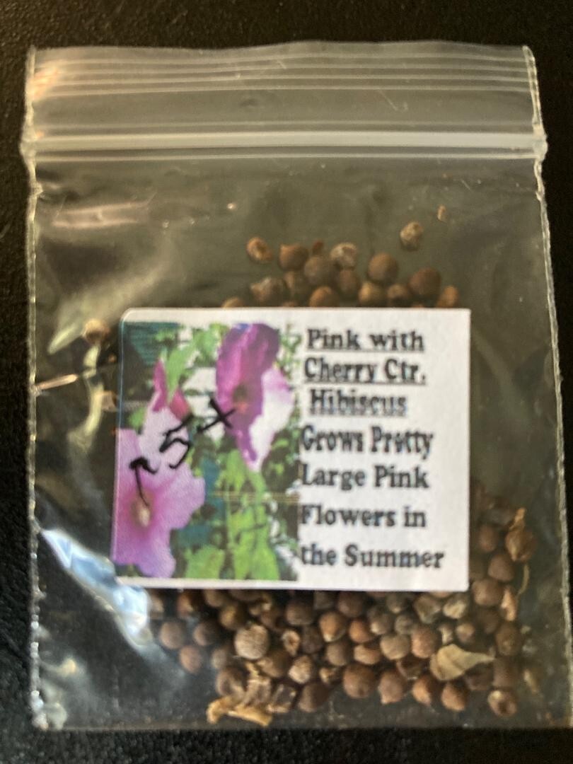 400 + 6 Different True Perennial Hibiscus RED/WHITE/PINKS/MIXED SEEDS ETC., #21