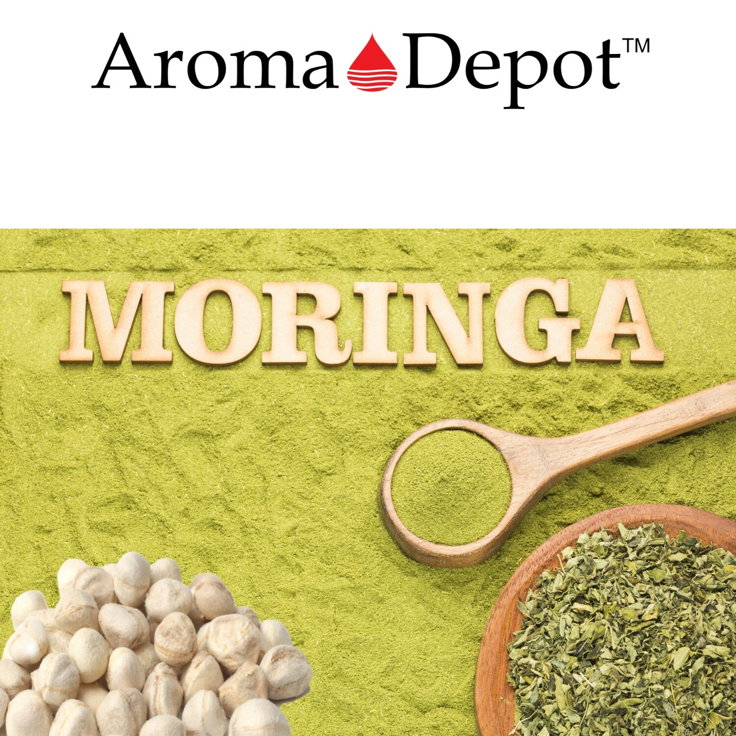 Moringa KERNEL Wholesale Granos de Semillas de Moringa oleifera Malunggay Seeds