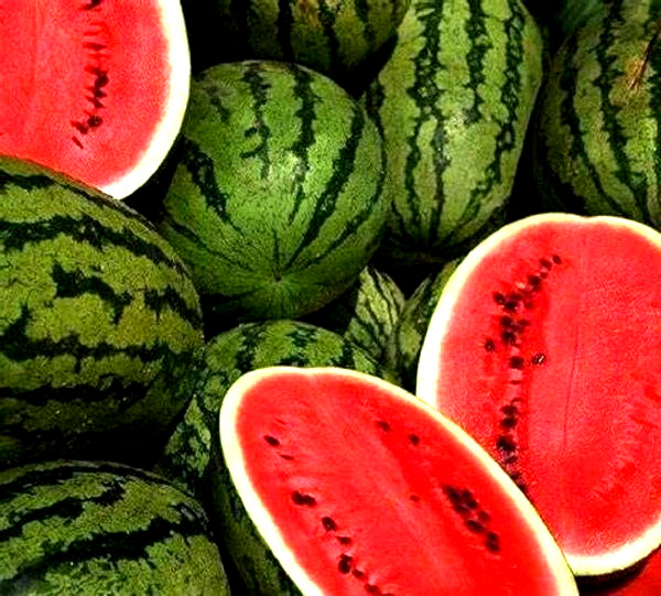 Jubilee Watermelon Seeds 25 SEEDS NON-GMO-BUY 4 ITEMS FREE SHIPPING