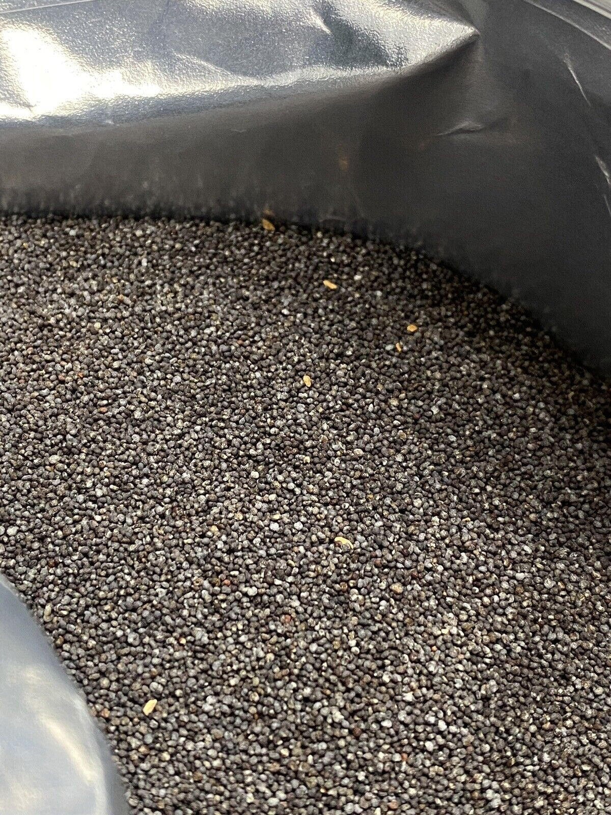 Poppy Seeds UK Papaver Som High Quality For Baking FAST SAME DAY PRIORITY SHIP !