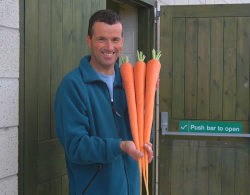 RARE BLEND*GIANT CARROT* MEDICINAL*HEALTHFUL* FIBRE*200 SEEDS*ANTIOXIDANT