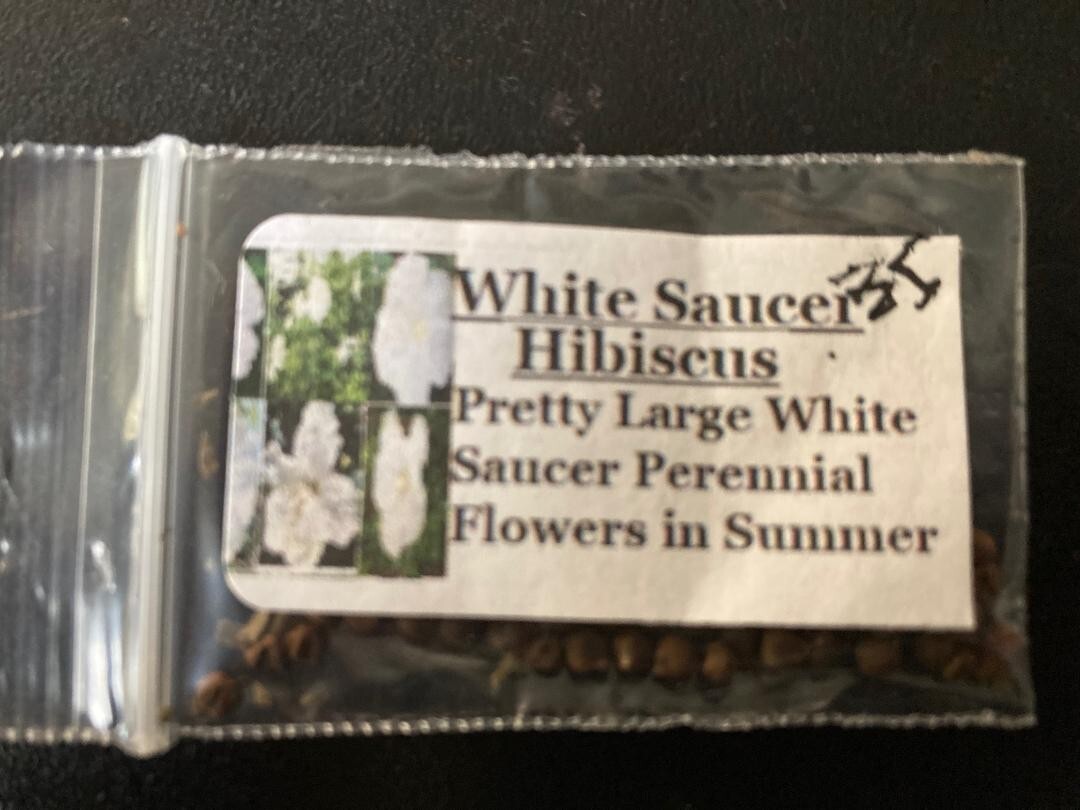 400 + 6 Different True Perennial Hibiscus RED/WHITE/PINKS/MIXED SEEDS ETC., #21