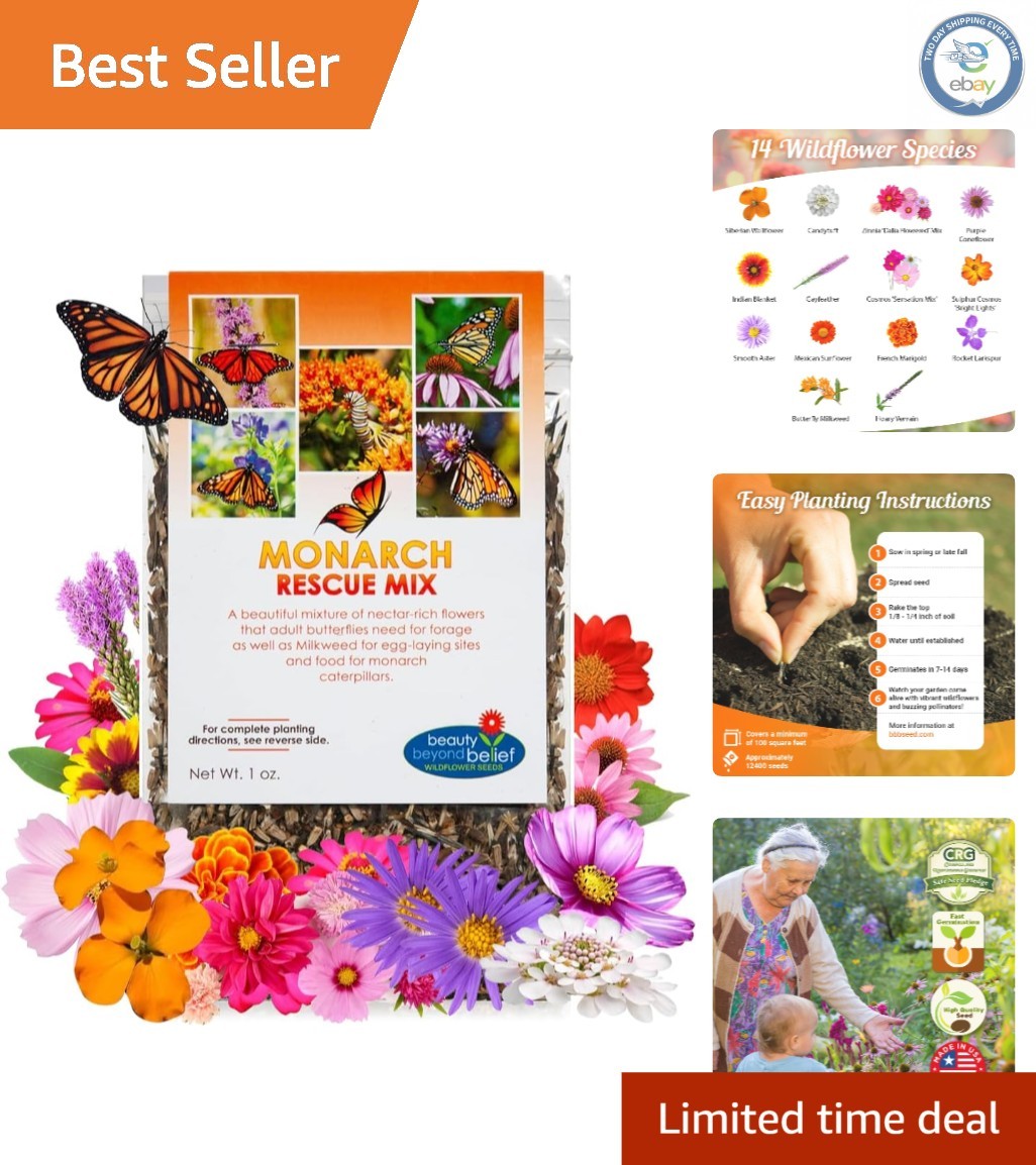 Eco-Friendly 1oz Wildflower Seed Packet – Attract Pollinators & Butterflies