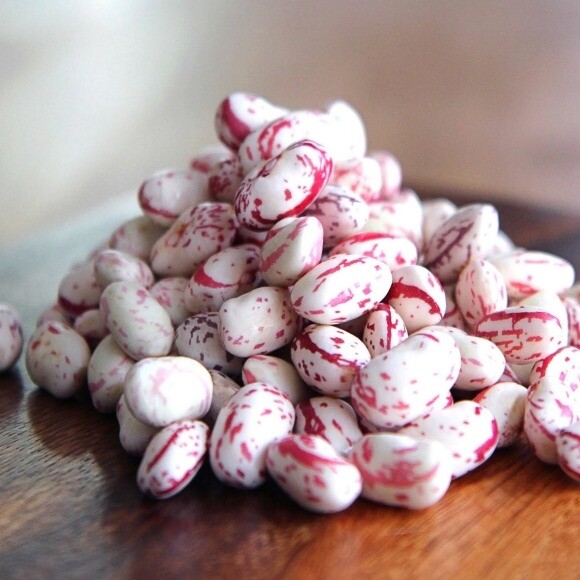 BULK Pink Cranberry Bean Seeds | Dwarf Horticultural Taylor Borlotti Pinto 2024