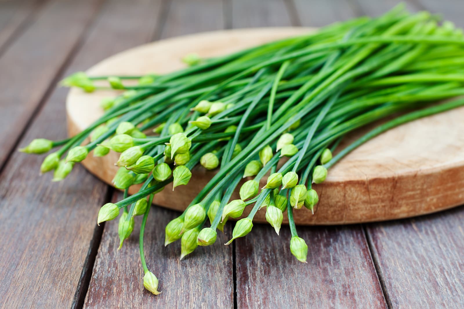 Chinese Garlic Chives Seeds | Jiuchai Leek Allium White Flower Asian Seed 2024